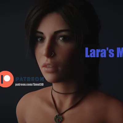 Lara's Makeover cover