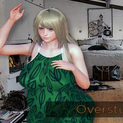 Overstuffed cover