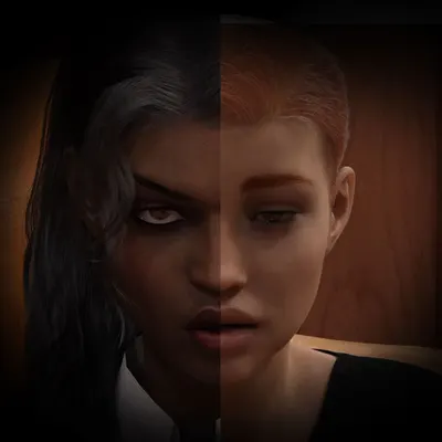 MsP And MsD cover