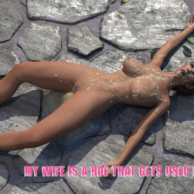 My Wife Is A Hoe That Gets Used By Everybody cover