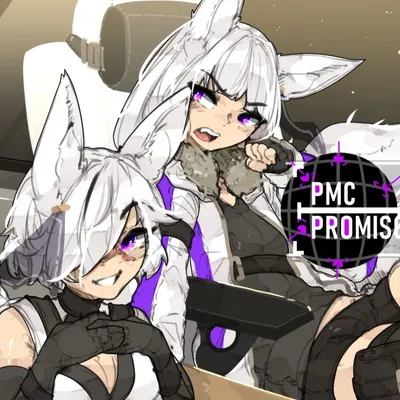 PMC Promiscuity cover