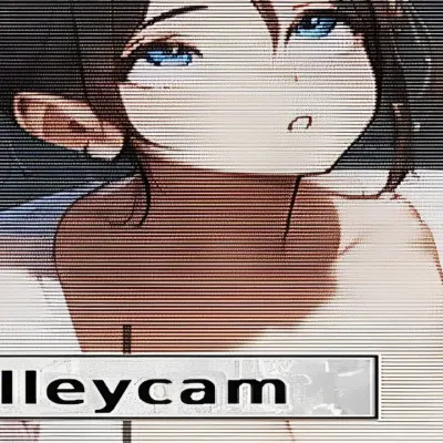 Alleycam cover