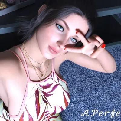 A Perfect Couple cover