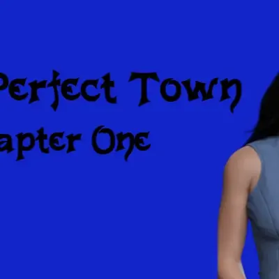 The Perfect Town cover