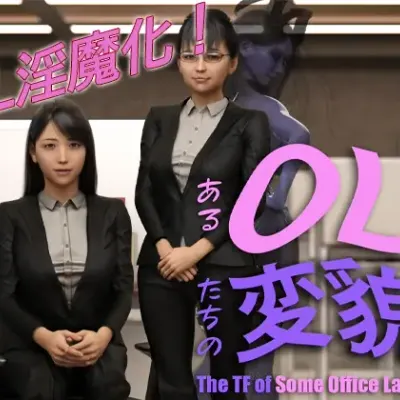 The TF of Some Office Ladies cover